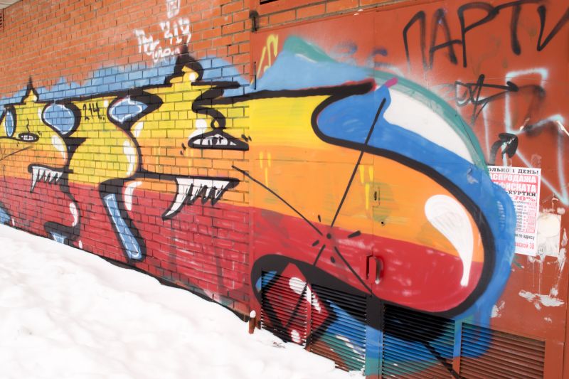 Brick Wall Before Removal